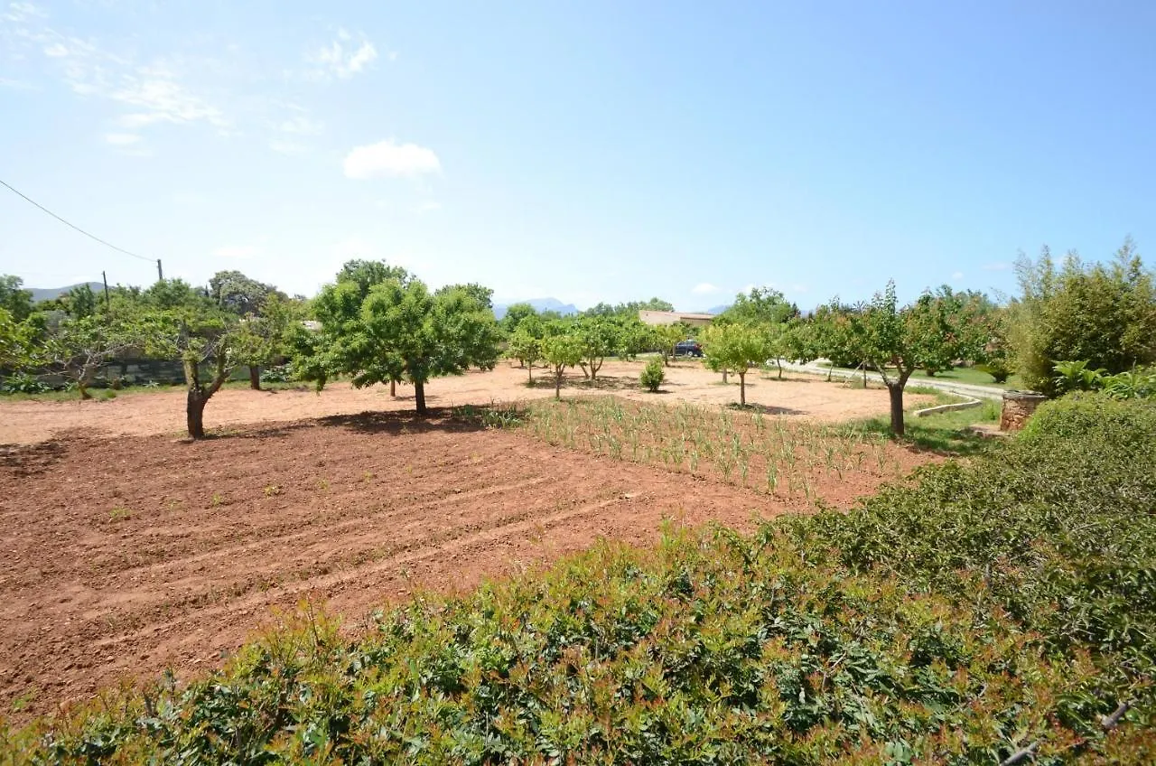 Villa Can Pau, Pool And Garden Close To The Beach Port de Alcudia  0*, Port de Alcudia (Mallorca) İspanya